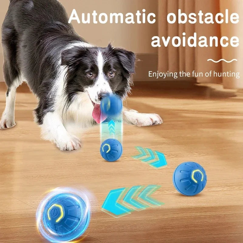 Lullaboo's Smart Moving Pet Ball