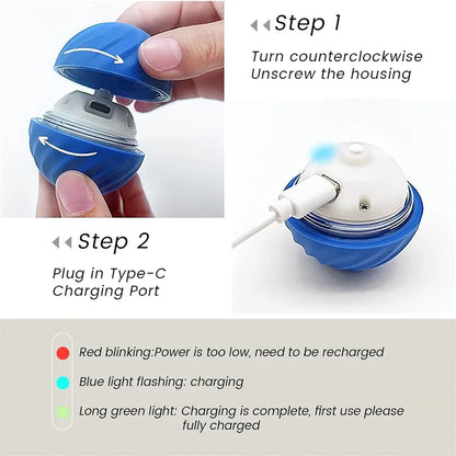 Lullaboo's Smart Moving Pet Ball